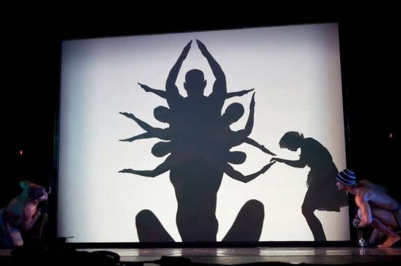 Decouvrez « Shadowland » la derniere creation de la compagnie Pilobolus