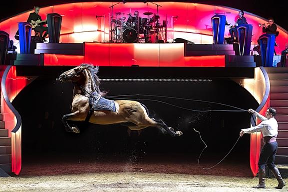 Les Folies Gruss : un dîner et un spectacle d’exception que Casting.fr a vécu !