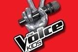 Que de bonnes nouvelles! Les castings « The voice kids » et "The Voice" sont ouverts!