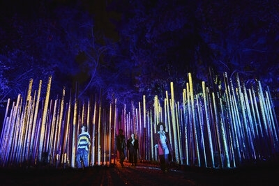 Light Cycles : la nature s’illumine à La Villette