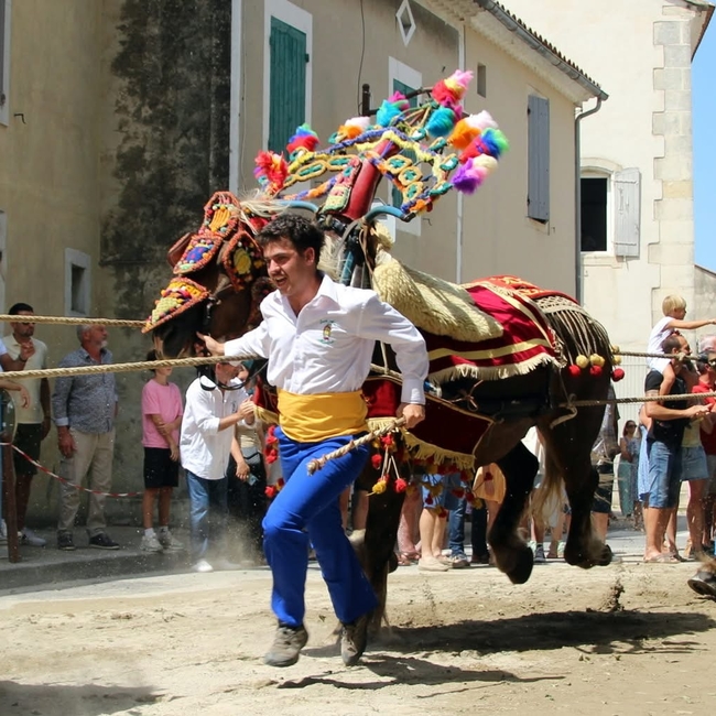 florianberaud
