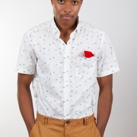 Romuald972