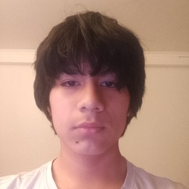 Steven273015