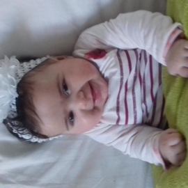 Bbsofia