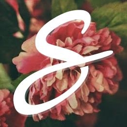 HelloSkr