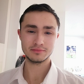 vladix300
