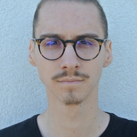 Ljubisav