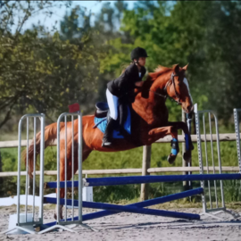 linouille76
