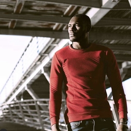 raymond_model