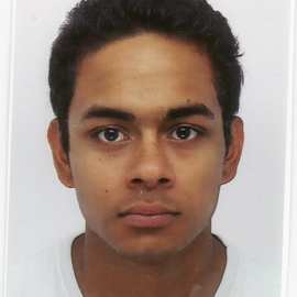 Toineu