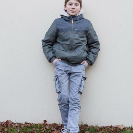 Lucas2013