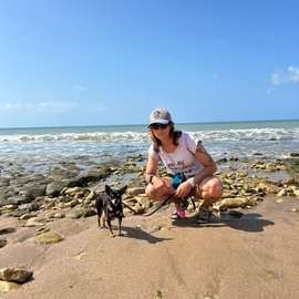 Sarigue