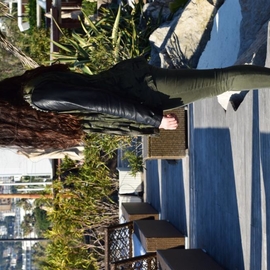Lily99
