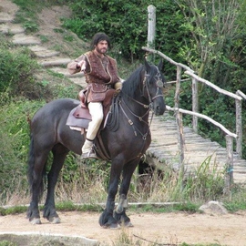 samuel8579