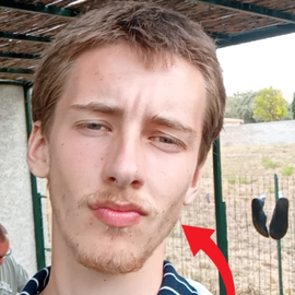 leomagne