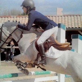 cheval6311