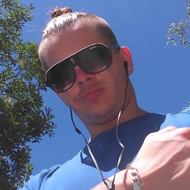 ALEKSdu83