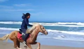 Cheval à Dakhla
