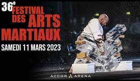 36e Festival des Arts Martiaux (live)