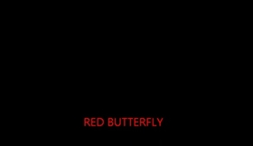 RED BUTTERFLY - You will adore me