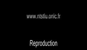 Passage court métrage 2008