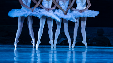 Casting danseurs et danseuses professionnels de danse classique pour tournée internationale