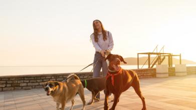 Casting figurant homme et femme de tout âge pour tournage série de Florence Foresti
