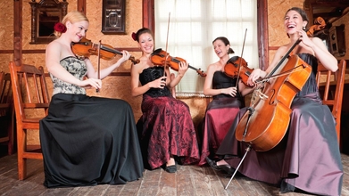 Casting quatuor à cordes féminin pour clip vidéo professionnel