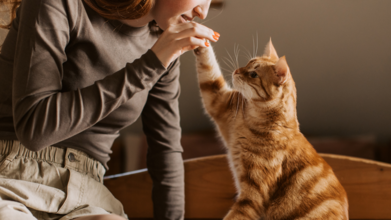 Casting femme dans la trentaine avec son chat pour la publicité d'une marque de croquettes