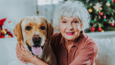 Casting femme entre 55 et 80 ans avec son chien pour figuration dans web série humoristique