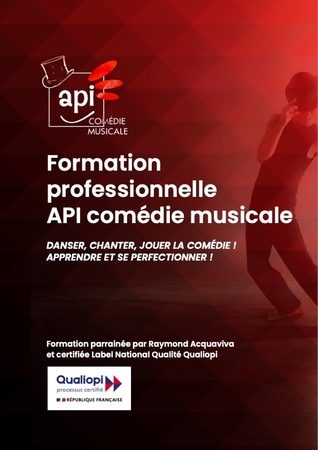 Les auditions sont ouvertes pour API Comédie musicale, la formation professionnelle et certifiée dédiée à la comédie musicale !