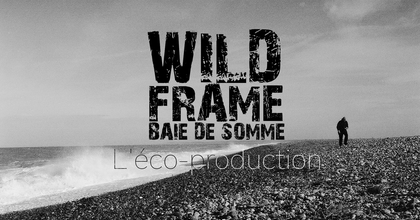 Doc Photo - WILDFRAME Baie de Somme - l'écoproduction - Titouan LICCIA