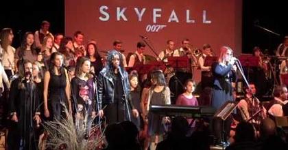 "Skyfall" Isabelle Dion /Franck Cottet Dumoulin